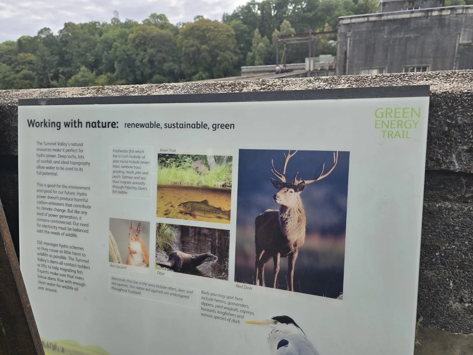 Green Energy Trail information board describing wildlife and renewable energy