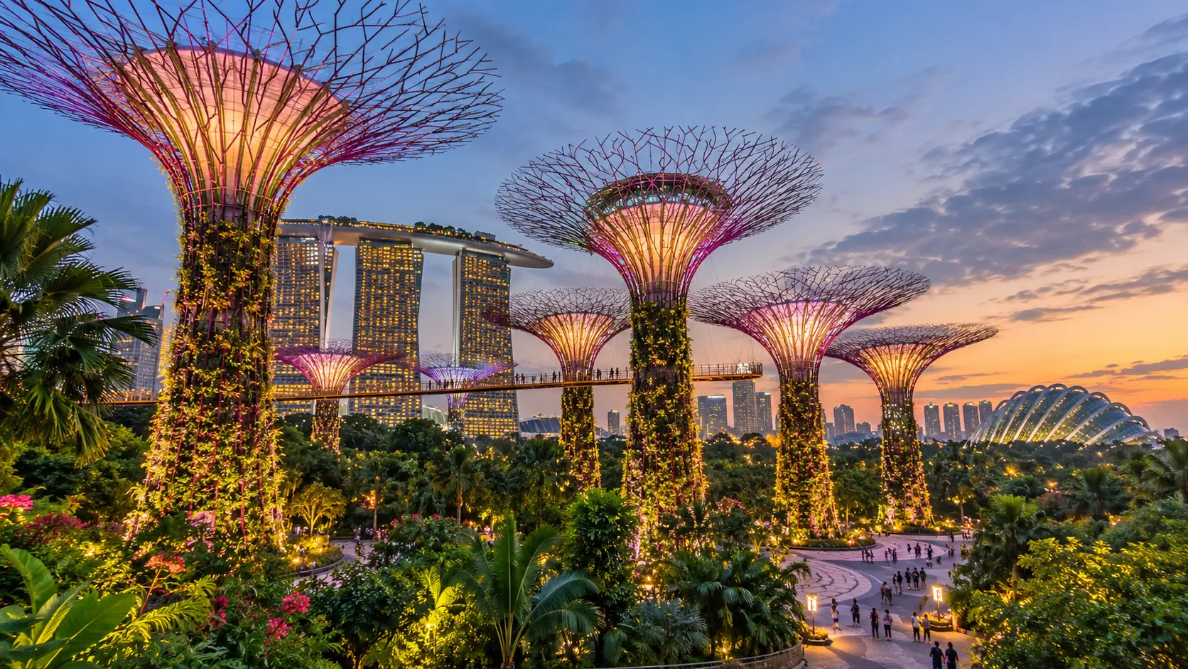 Supertree Grove at Gardens by the Bay in Singapore