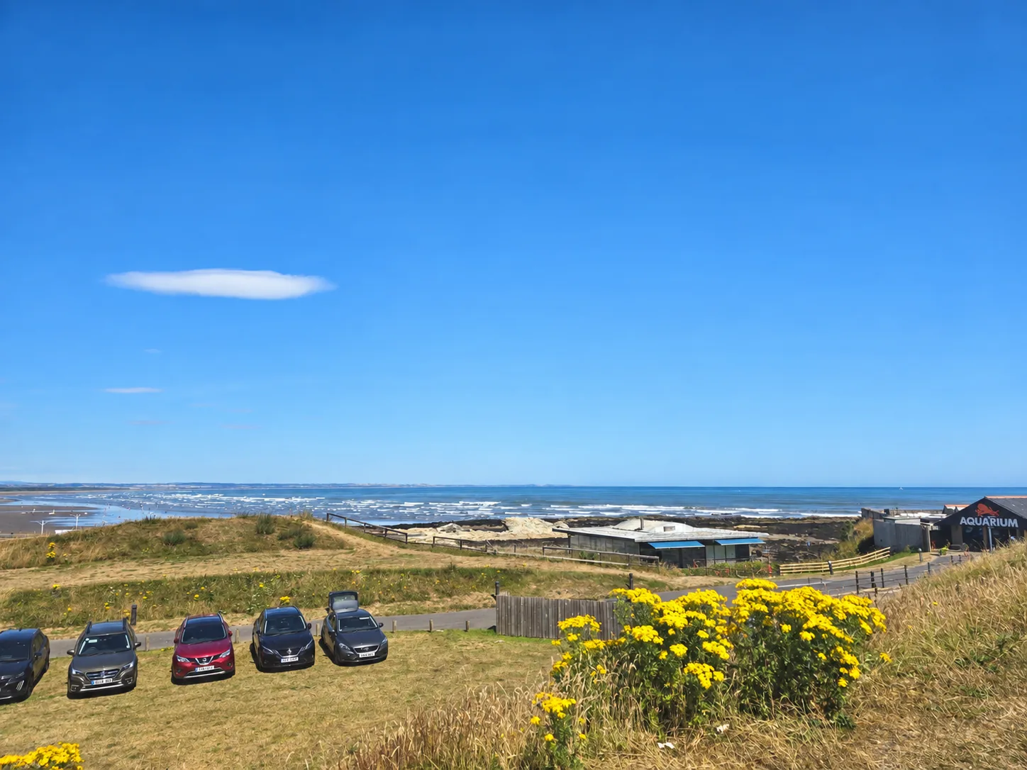 Coastal view near St Andrews Aquarium